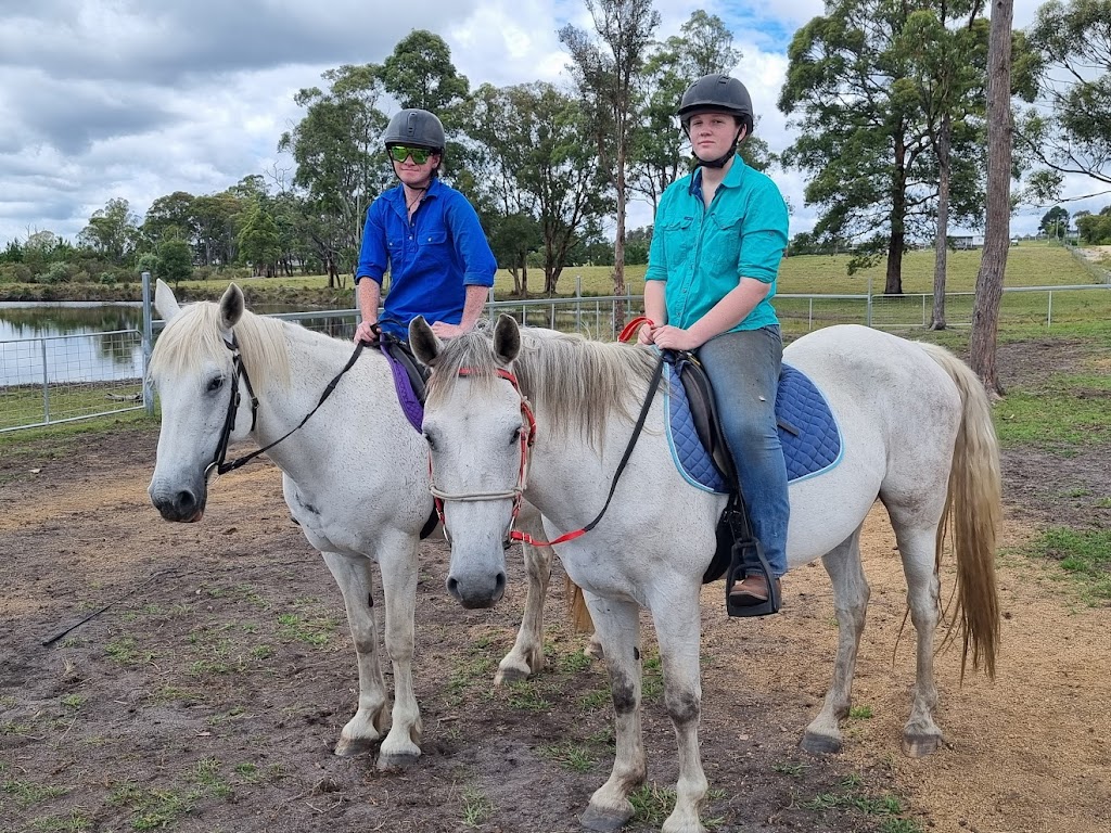 Hands On Horses Australia | 82 Border Gate Rd, Cottonvale QLD 4375, Australia | Phone: 0417 579 264