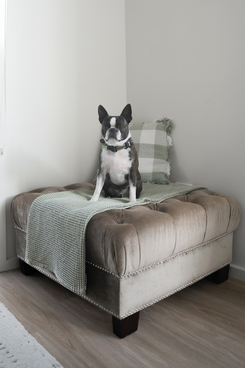 The White House Metung - Luxury Accommodation | 27 Christmas St, Metung VIC 3904, Australia | Phone: 0410 633 072