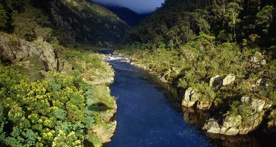 Snowy River National Park | Old Basin Rd, Yalmy VIC 3885, Australia | Phone: 13 19 63