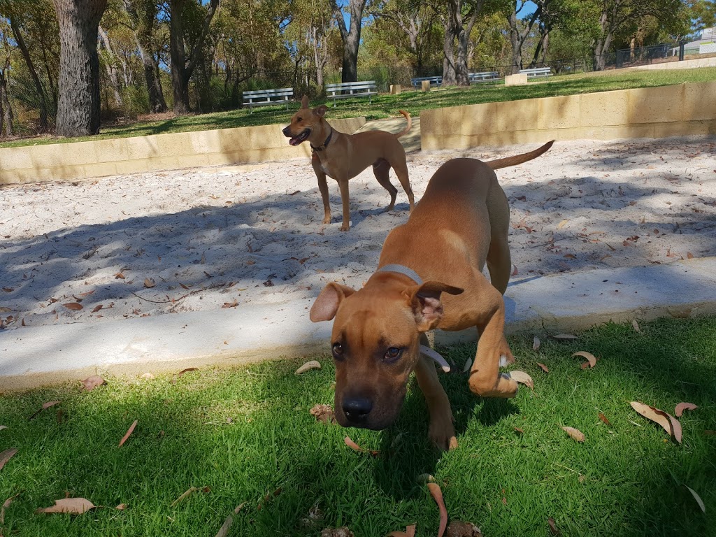 Balga Dog Park | park | Balga WA 6061, Australia