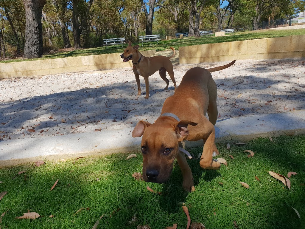 Balga Dog Park | Balga WA 6061, Australia