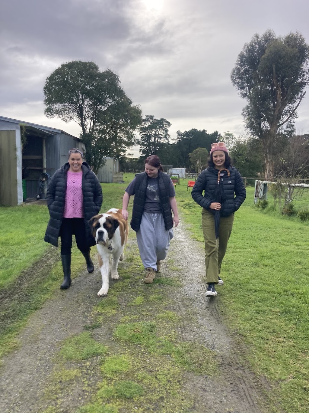 ME Animal Assisted Wellness | 214 Eramosa Rd W, Moorooduc VIC 3933, Australia | Phone: 0416 122 946
