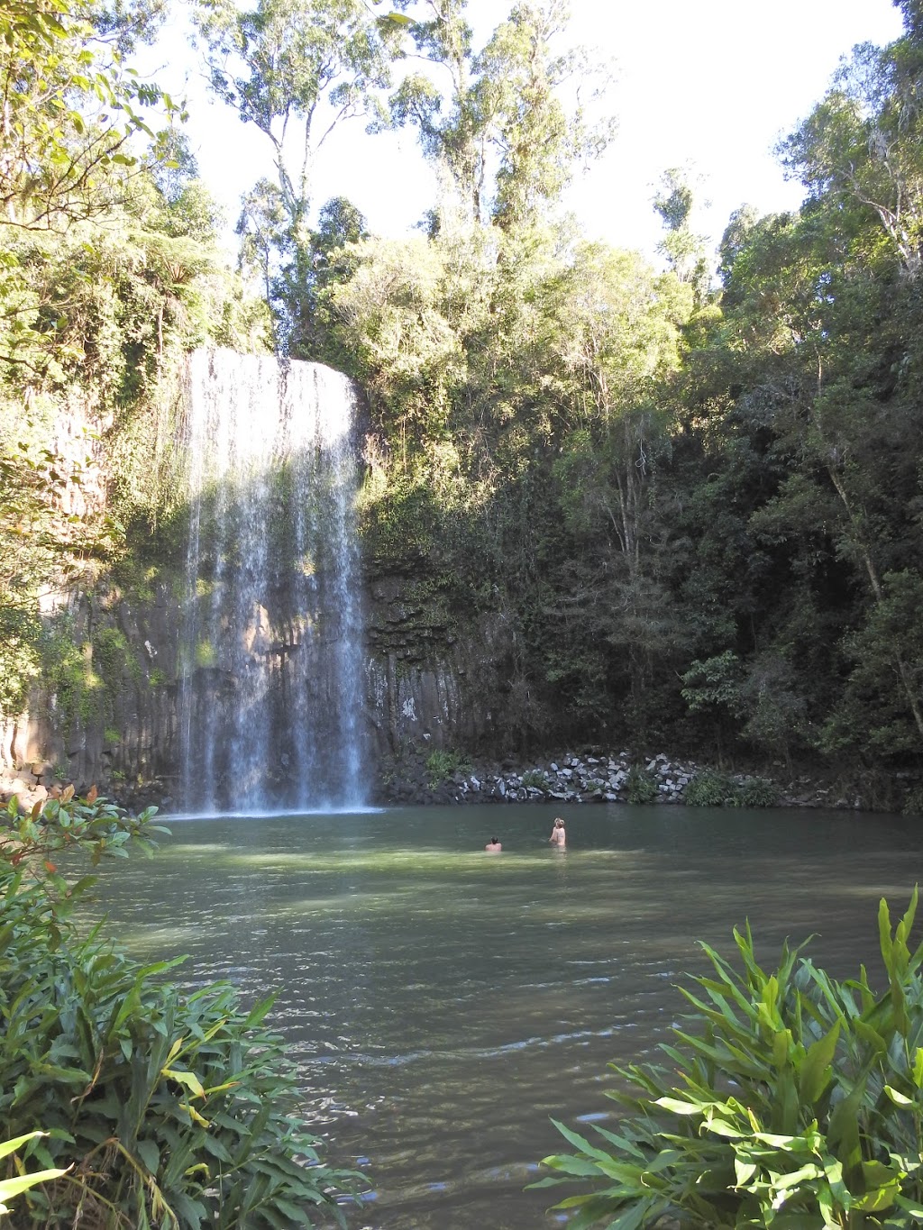 Millaa Millaa Falls Park | Millaa Millaa QLD 4886, Australia