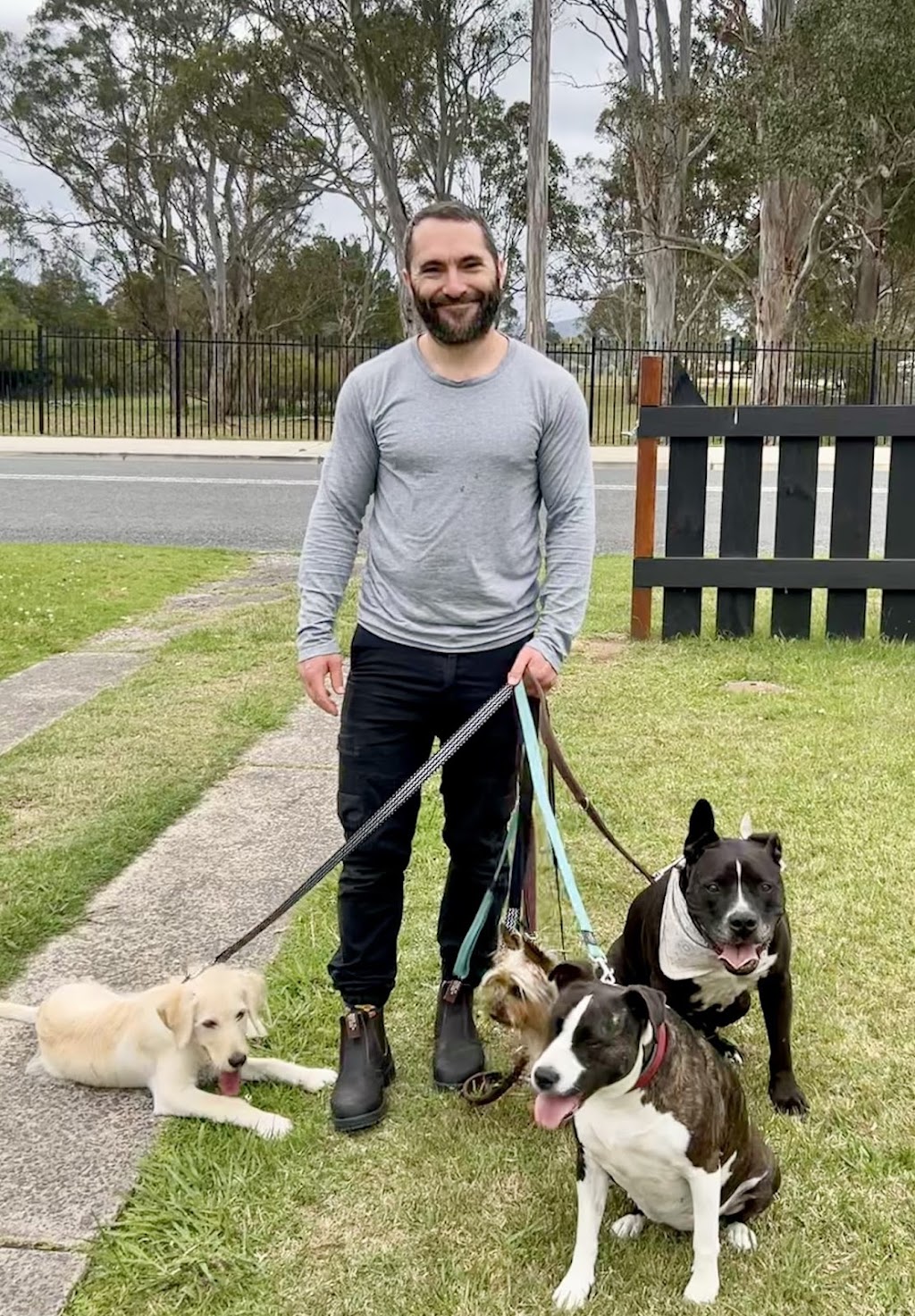 Big Head Dog Training | 147 Vulcan St, Moruya NSW 2537, Australia | Phone: 0404 217 087