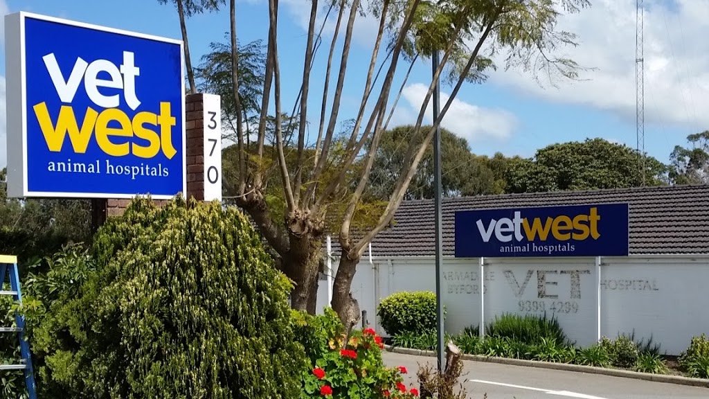 Vetwest Animal Hospitals Armadale Byford | 370 S Western Hwy, Wungong WA 6112, Australia | Phone: (08) 9404 1170