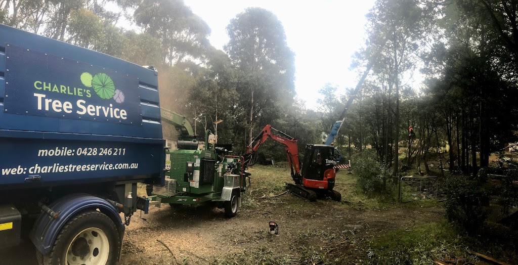 Charlie’s Tree Service | 731 Leslie Rd, Leslie Vale TAS 7054, Australia | Phone: 0428 246 211