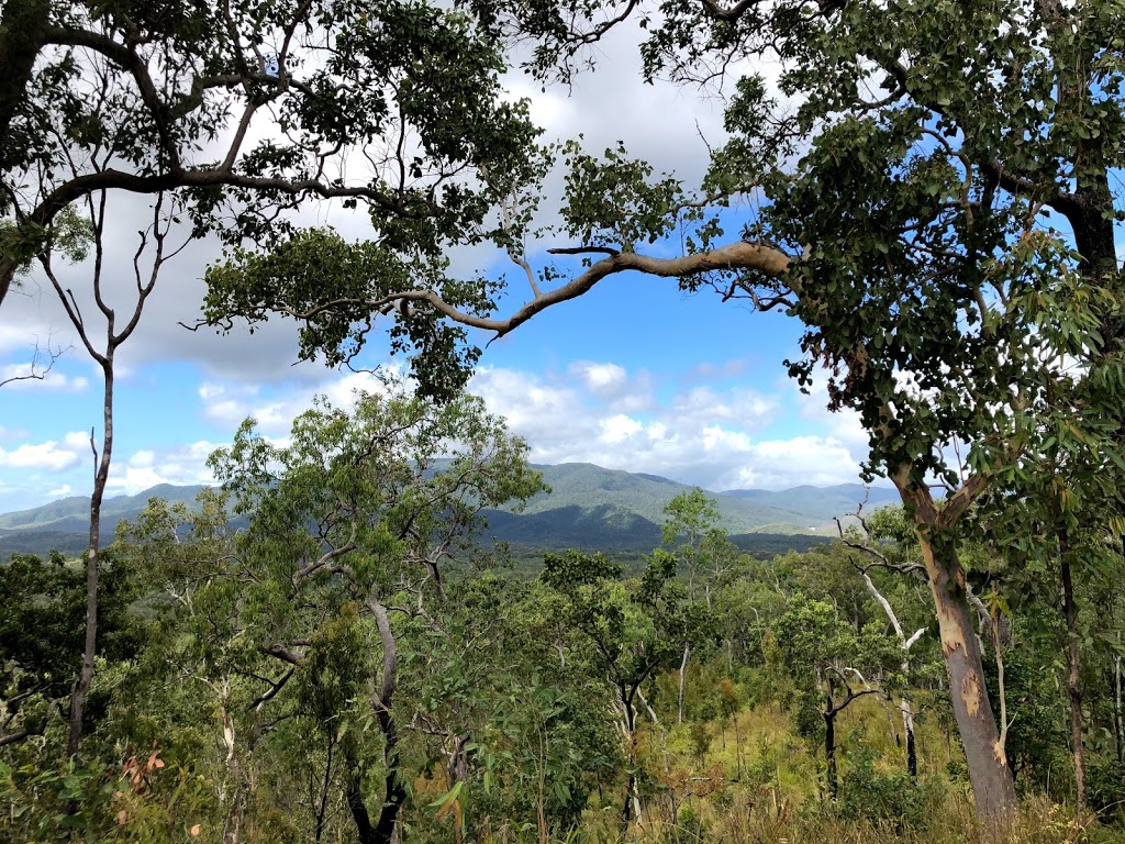 CREB Track | Upper Daintree QLD 4873, Australia