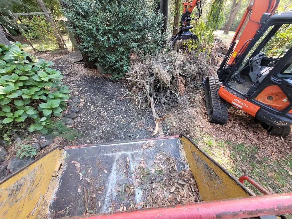 Next Step Tree Removals | 413 Monbulk Rd, Monbulk VIC 3793, Australia | Phone: 0455 331 045