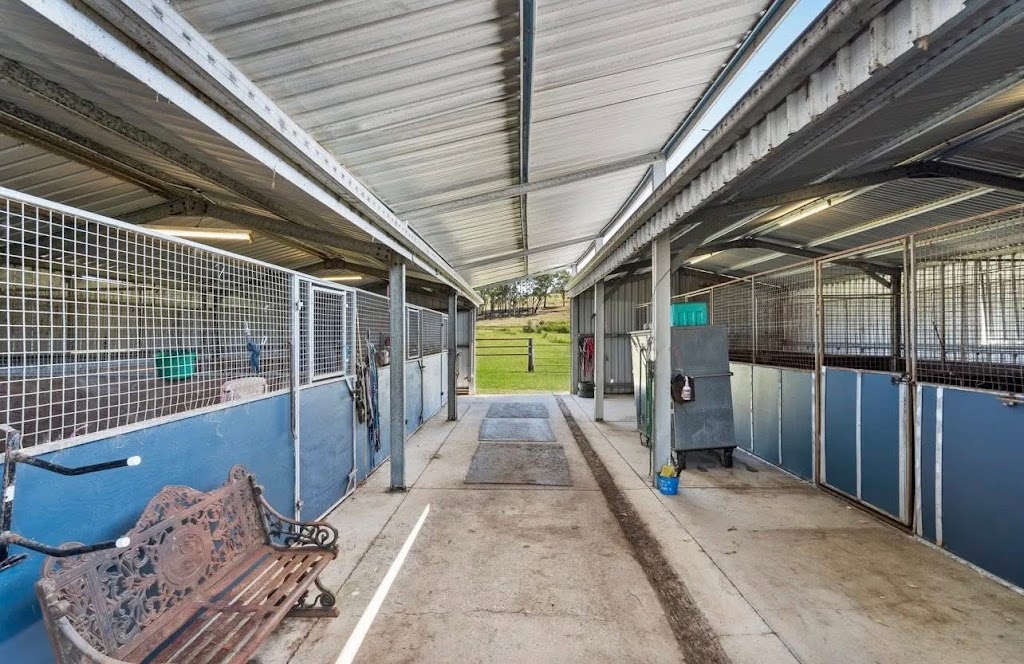 Someday Racing & Breeding | 363 Round Mountain Rd, Laravale QLD 4285, Australia | Phone: 0435 382 443