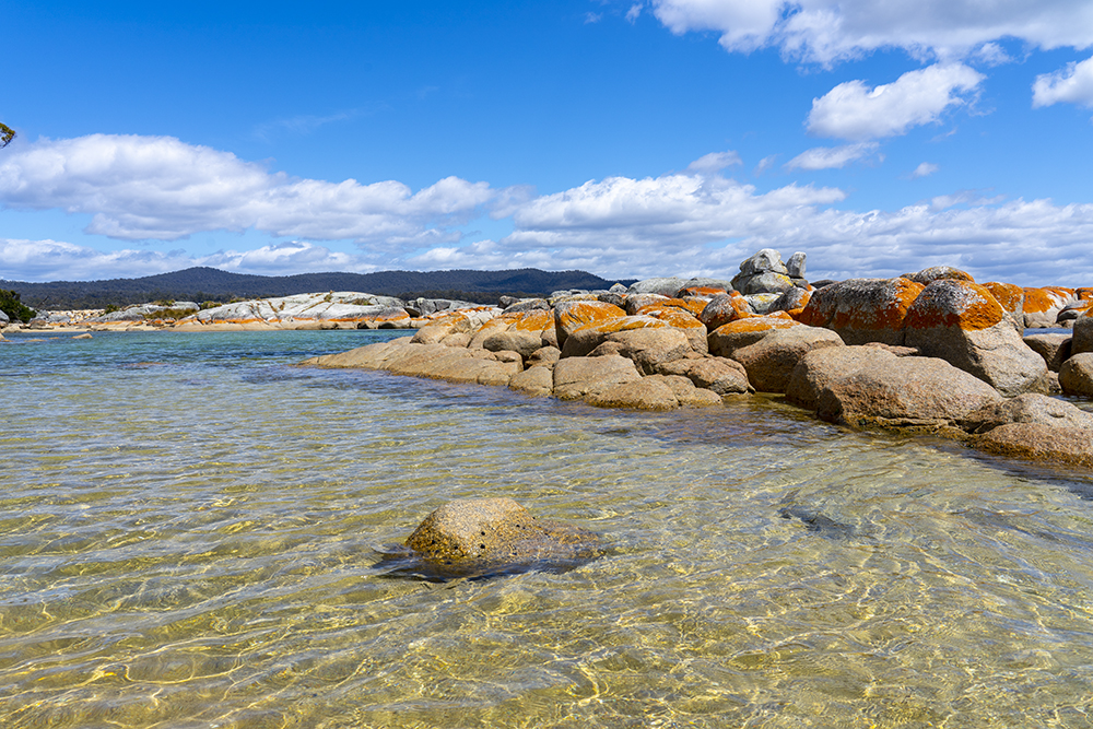 Skeleton Bay Reserve | park | 14-16 Main Rd, Binalong Bay TAS 7216, Australia