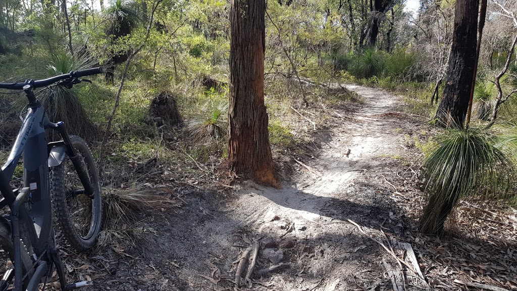 Bayview Conservation Park | Days Rd, Redland Bay QLD 4165, Australia | Phone: (07) 3829 8999