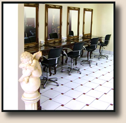 Revolutionary Hair-Straightening System | hair care | 5/461 Ipswich Rd, Annerley QLD 4103, Australia | 0738927655 OR +61 7 3892 7655
