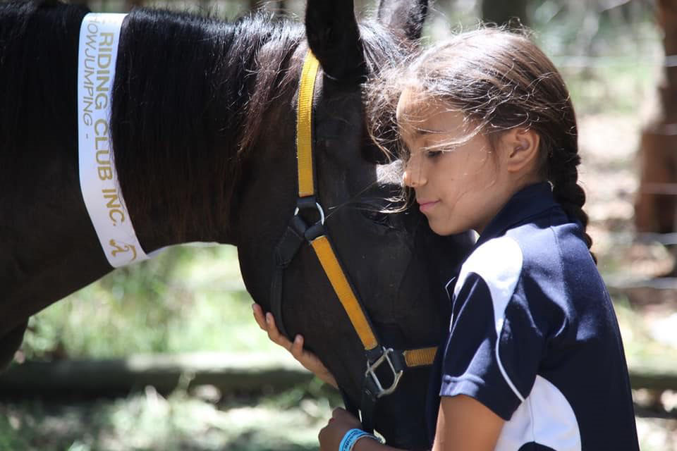 MC Equestrian Riding School | 90 Booralie Rd, Terrey Hills NSW 2084, Australia | Phone: 0433 247 247