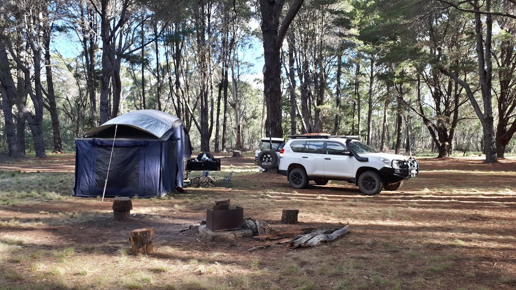 The Pines campground | campground | Pine Trail, Coolah NSW 2843, Australia | 0263709000 OR +61 2 6370 9000