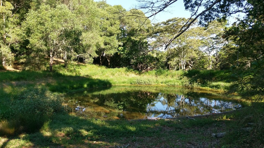 Lake Eacham Tourist Park & Self Contained Cabins | rv park | 198 Lakes Dr, Lake Eacham QLD 4884, Australia | 0740953730 OR +61 7 4095 3730