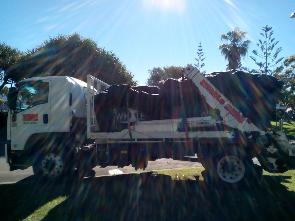 Whale Bins | 1 Page St, Kunda Park QLD 4556, Australia | Phone: (07) 5445 6355