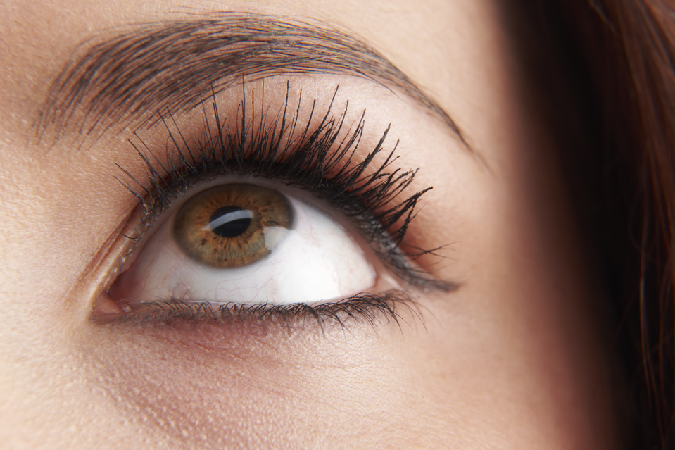 Splash of Lash | beauty salon | 109 Mooroondu Rd, Thorneside QLD 4158, Australia | 0405028838 OR +61 405 028 838