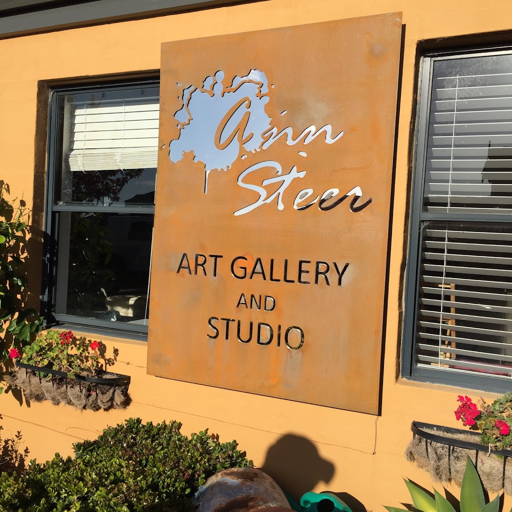 Ann Steer Studio | 7 Davenport Cct, Mindarie WA 6030, Australia | Phone: 0418 921 701