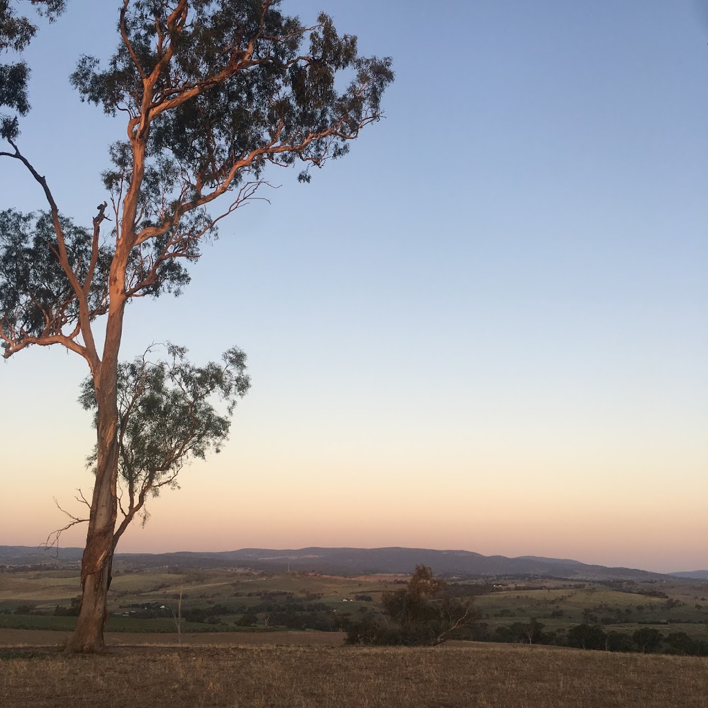 Wanera Cottage and Farm Stay | lodging | 540 Bosworth Falls Rd, OConnell NSW 2795, Australia