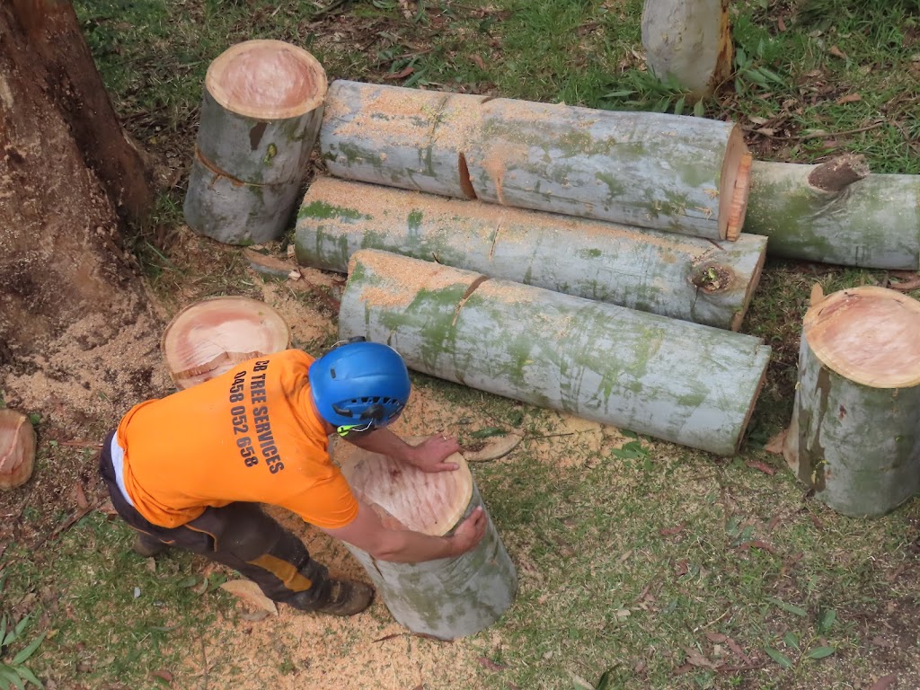 CB TREE SERVICES PTY LTD | 18 Boronia Rd, Bullaburra NSW 2784, Australia | Phone: 0458 052 658