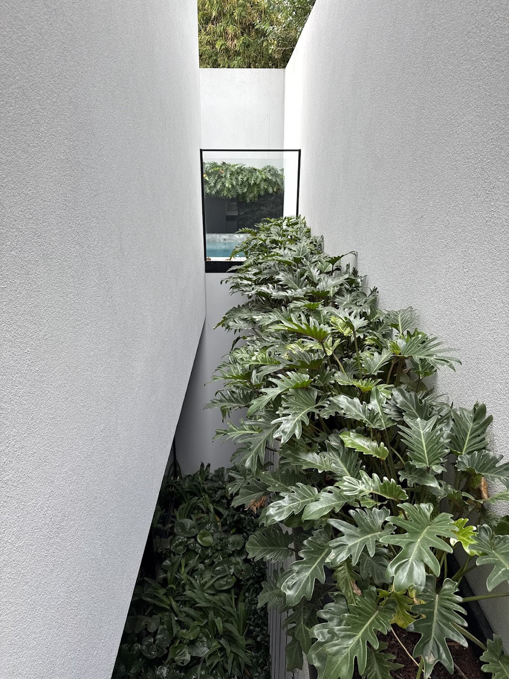 LUKE MARSHALL LANDSCAPE DESIGN | 41 Brunts Rd, Bullarto VIC 3141, Australia | Phone: 0426 299 487