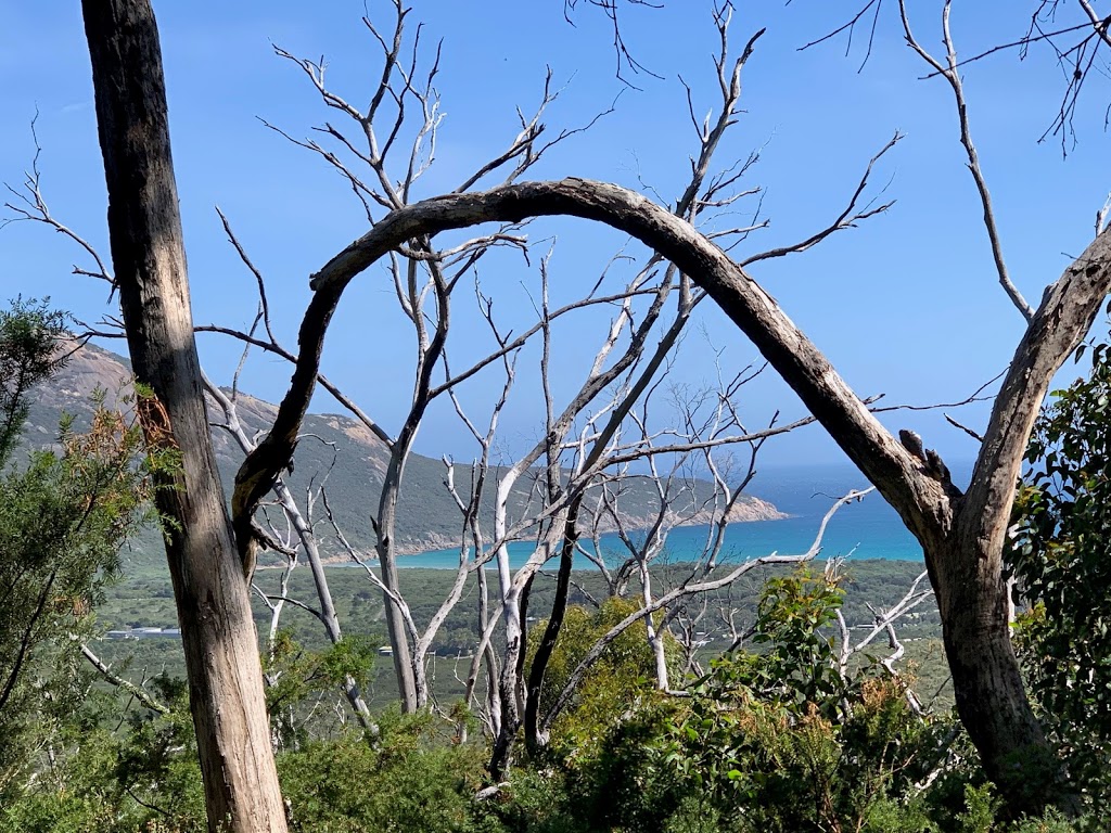 Lilly pilly Gully cir | park | Lilly Pilly Gully Circuit, Wilsons Promontory VIC 3960, Australia