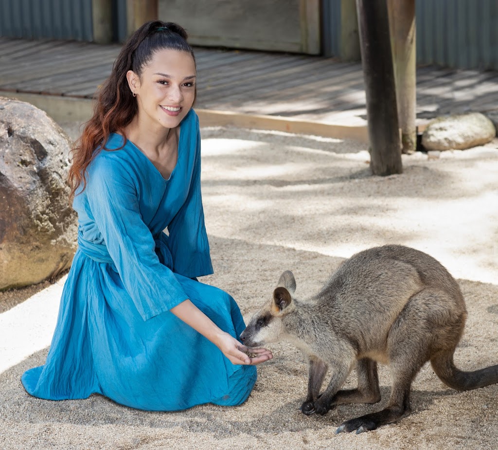 wild kuranda | tourist attraction | koala gardens, Rob Veivers Dr, Kuranda QLD 4881, Australia | 0740553576 OR +61 7 4055 3576