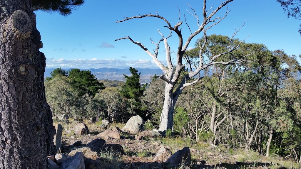 Isaacs Ridge Nature Reserve | park | Isaacs ACT 2607, Australia | 132281 OR +61 132281