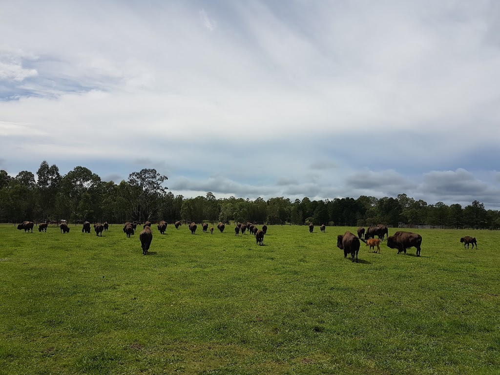 Aranyani Bison | tourist attraction | 670 Elliotts Rd, Myrtle Creek NSW 2469, Australia | 0266617866 OR +61 2 6661 7866