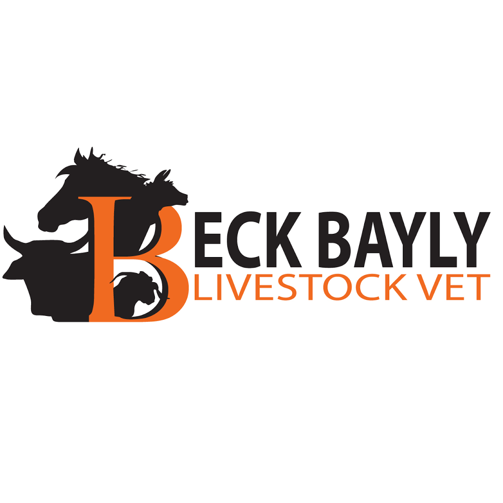 Beck Bayly Livestock Vet | veterinary care | Blenheim Rd, Laidley Creek West QLD 4341, Australia | 0417839299 OR +61 417 839 299