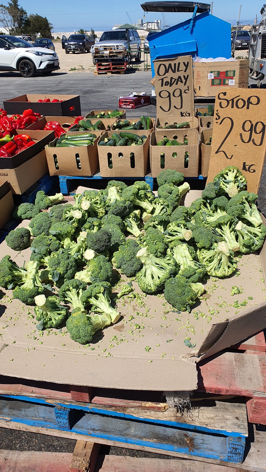 Torrens Island Market | 31 Moorhouse Rd, Port Adelaide SA 5015, Australia | Phone: 0412 581 906