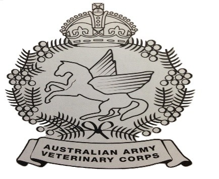 AAVC Scenic Rim Troop, volunteer, horses, ANZAC, Beersheba | TBA, Aratula QLD 4309, Australia | Phone: 0412 886 780