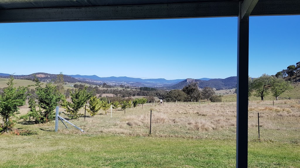 Hill Top Farm | 36 Bungulla Platform Rd, Tenterfield NSW 2372, Australia | Phone: 0421 609 541