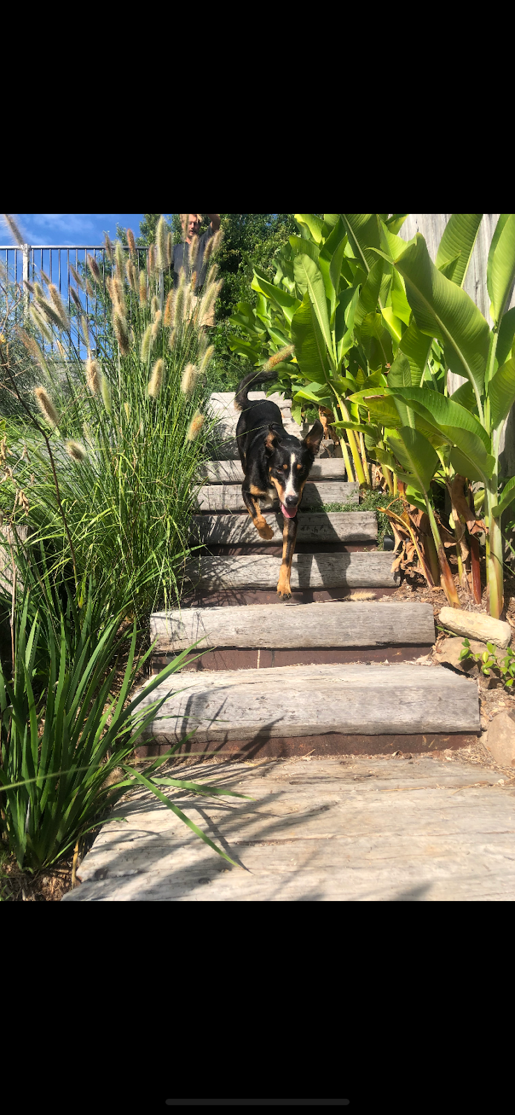 Coolamon Landscapes | 681 Myocum Rd, Myocum NSW 2481, Australia | Phone: 0475 862 781