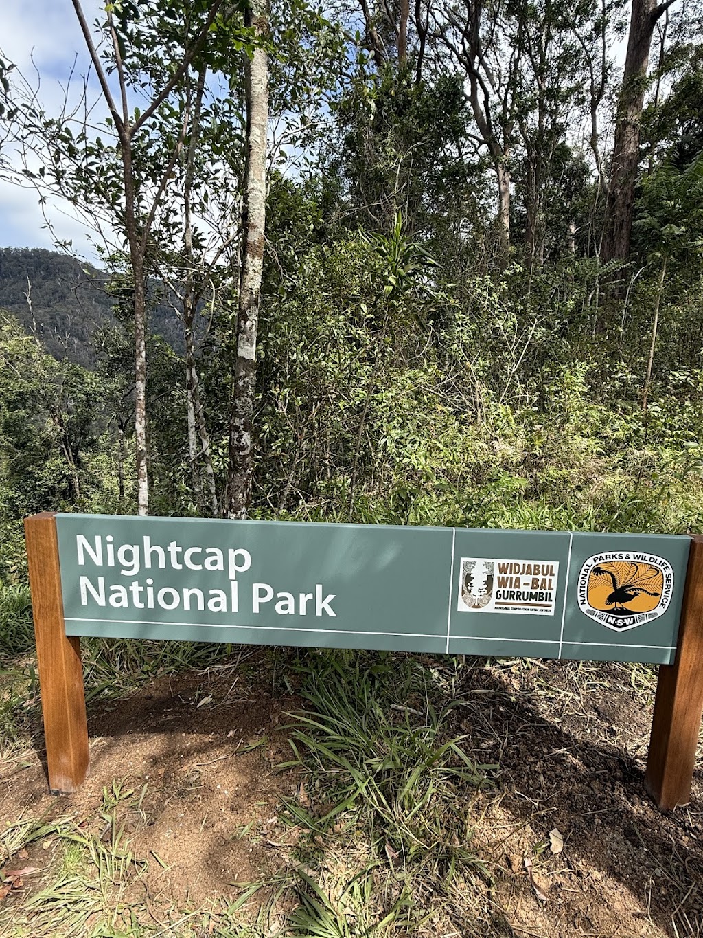 Gidjuum Gulganyi Walk | Unicorn Falls Walking Trak, Upper Main Arm NSW 2482, Australia | Phone: 1300 072 757