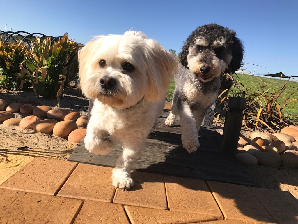 Khatala Pet Lodge |  | 20 Bush Rtt, Nambeelup WA 6207, Australia | 0410396936 OR +61 410 396 936