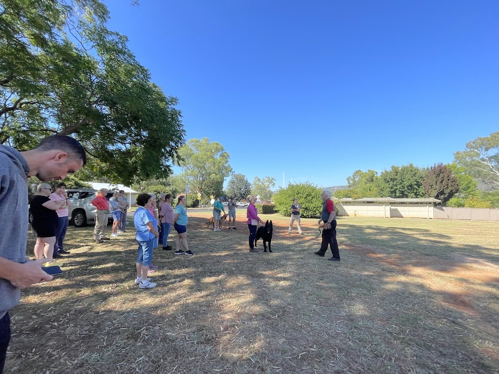 Loose Leads Dog Training | Bakers Swamp NSW 2820, Australia | Phone: 0408 018 946