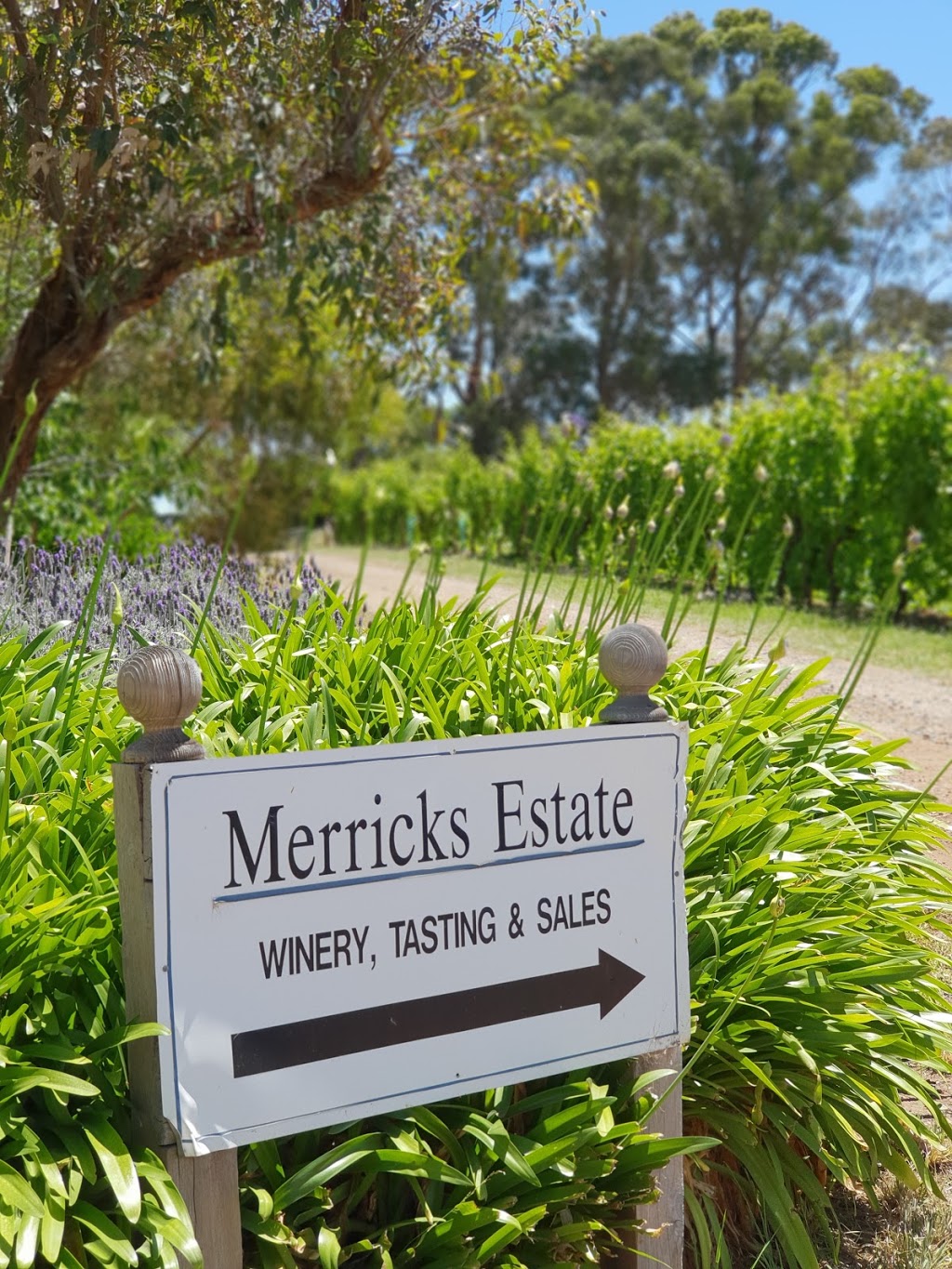Merricks Estate | 97 Thompsons Ln, Merricks VIC 3916, Australia | Phone: 0419 135 037