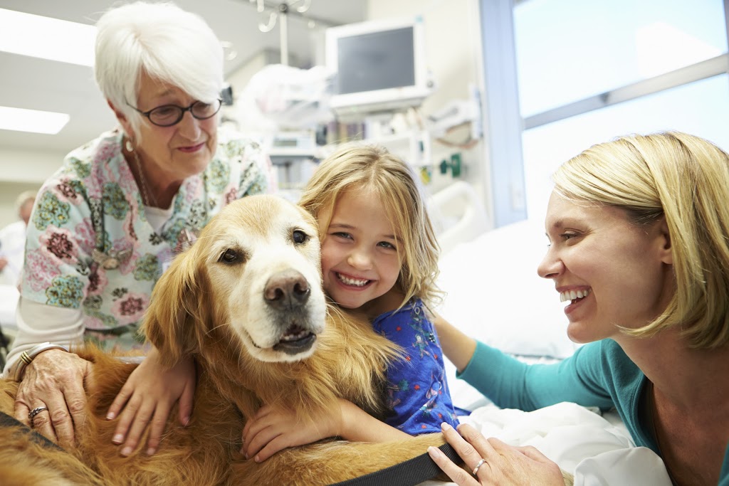 RSPCA Tighes Hill Veterinary Hospital | veterinary care | 75 Elizabeth St, Tighes Hill NSW 2297, Australia | 0249276822 OR +61 2 4927 6822