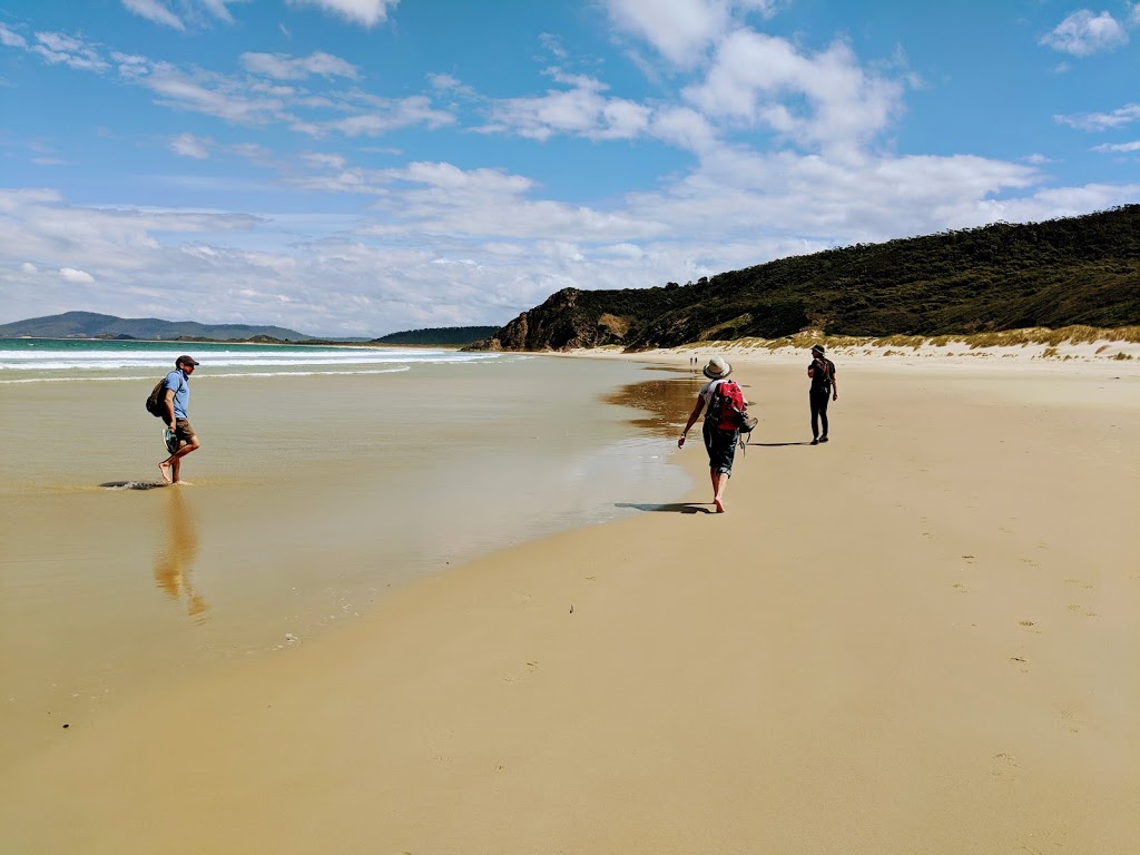 Bruny Island Bushwalking & Nature Tour | 7 Station Ln, Sorell TAS 7172, Australia | Phone: (03) 6144 3045