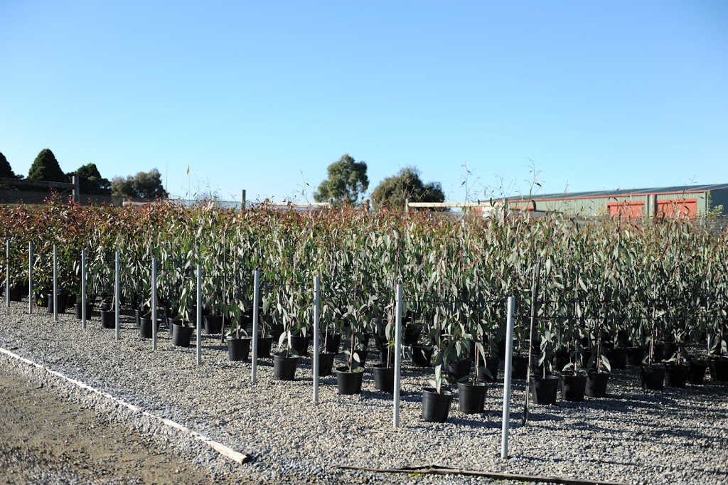 Green-shield nursery | 1750 Westernport Rd, Heath Hill VIC 3981, Australia | Phone: (03) 5997 8398