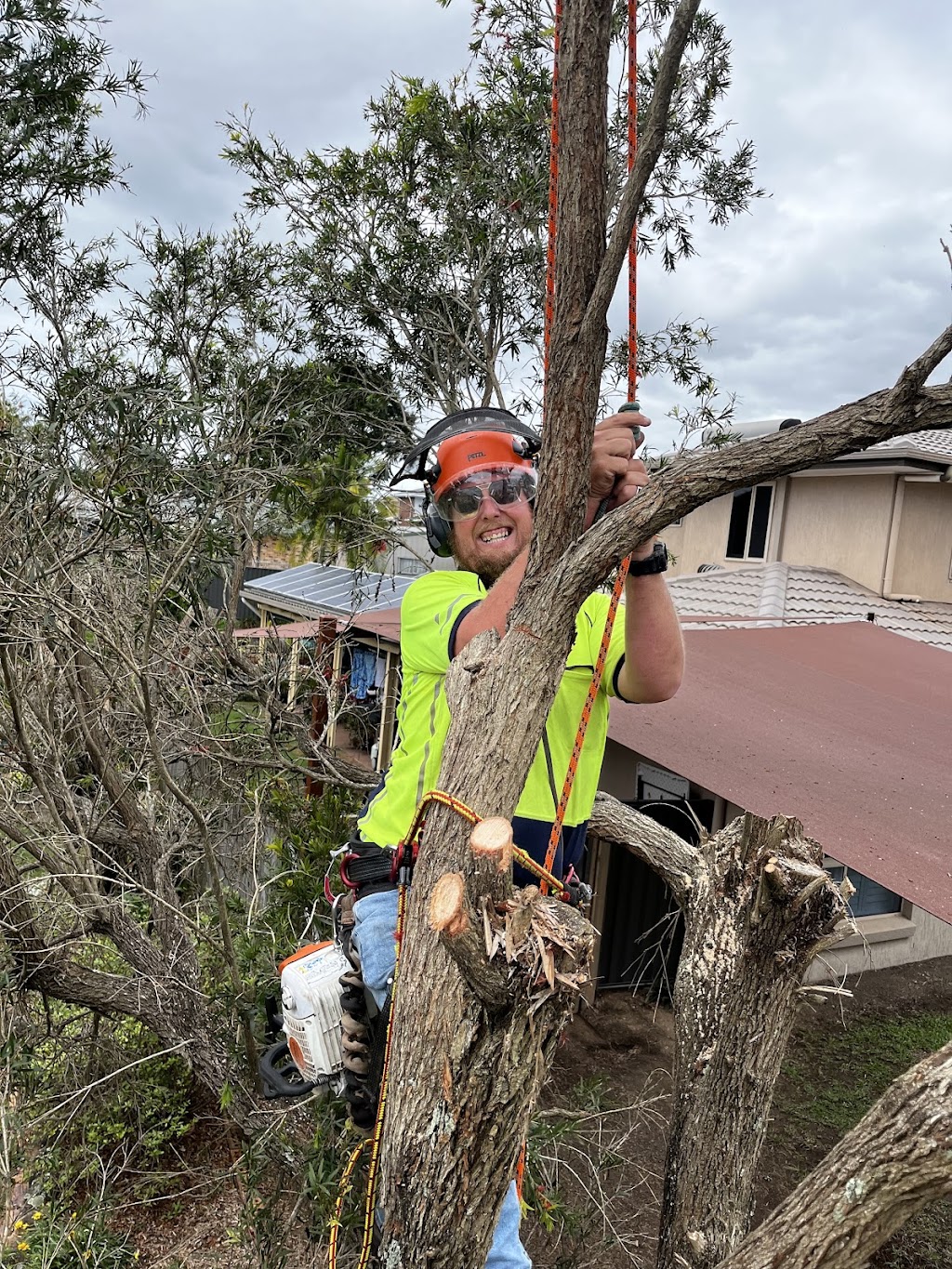 Dans Tree Experts | 220 Avalon Rd, Sheldon QLD 4157, Australia | Phone: 0466 270 743