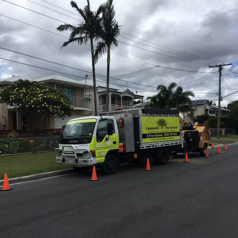 Community Tree Services - Arborists Tree Lopping & Stump Grindin | 17 Centenary Rd, Slacks Creek QLD 4127, Australia | Phone: 0420 954 062