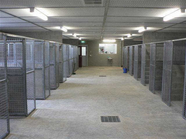 All Breeds Boarding Kennels and Cattery | veterinary care | 325 Western Port Hwy, Lyndhurst VIC 3975, Australia | 0397999779 OR +61 3 9799 9779