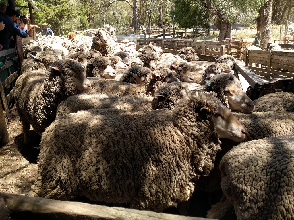 Yallingup Shearing Shed | 1442 Wildwood Rd, Yallingup WA 6282, Australia