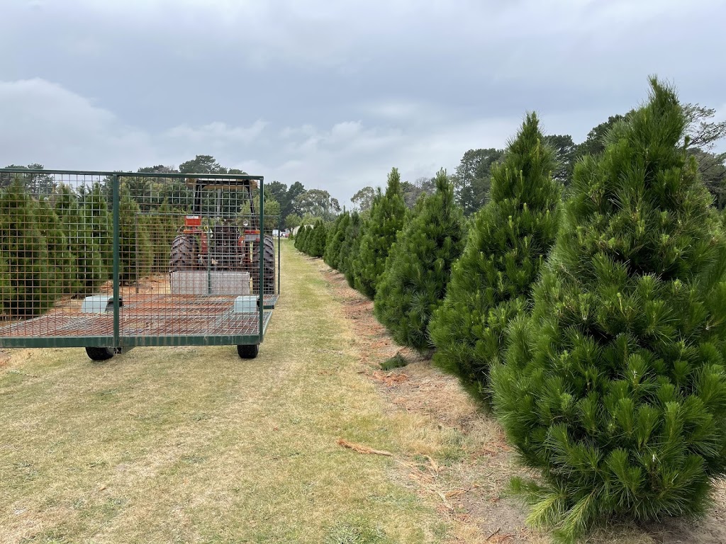 Whispering pines Christmas tree farm, Tyabb |  | 15 Oneills Rd, Tyabb VIC 3913, Australia | 0407843850 OR +61 407 843 850