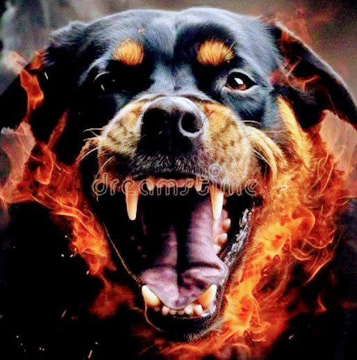 K9 Armed Guards Services | 92 Norris Creek Rd, Munruben QLD 4125, Australia | Phone: (07) 5605 2021