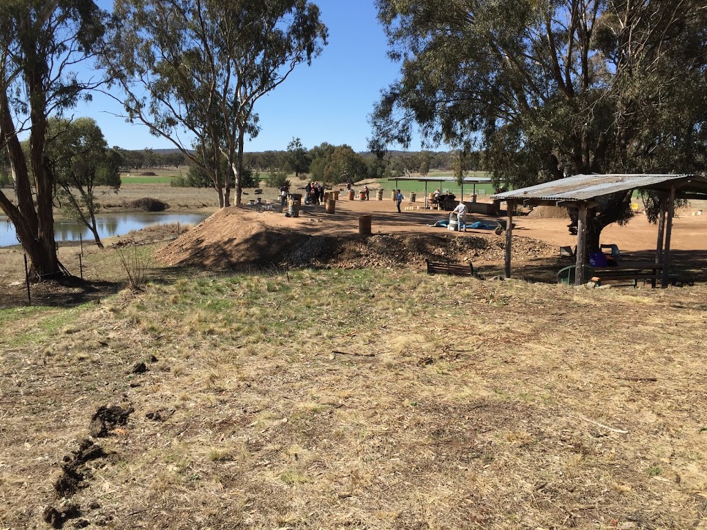 Billabong Blue Sapphire Fossicking Park | 2479 Kings Plains Rd, Swanbrook NSW 2360, Australia | Phone: (02) 6721 0500