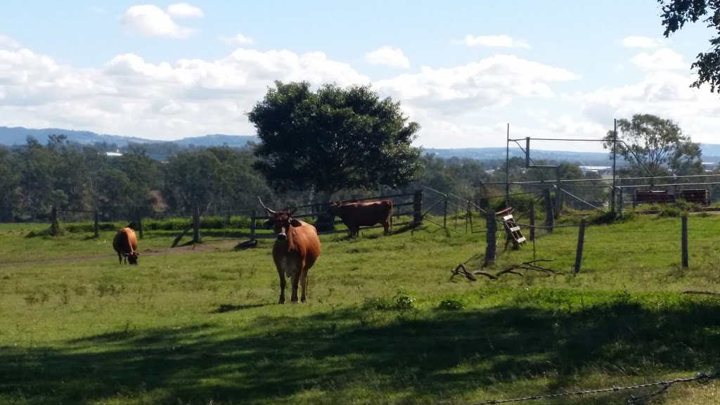 Ipswich District Mowing Service | 99 Goddards Rd, Yamanto QLD 4305, Australia | Phone: (07) 3812 3863