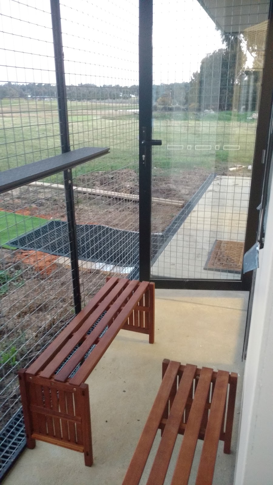 Karingal Cattery | 43 Karingal Park Dr, Smythes Creek VIC 3351, Australia | Phone: 0418 247 031